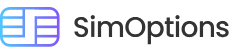 SimOptions
